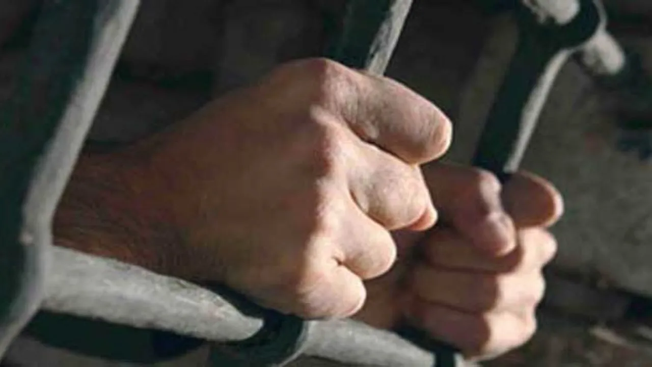 بسبب سرقة هاتف.. حبس عاطلين قطعوا أوتار يد شاب في منطقة الزيتون